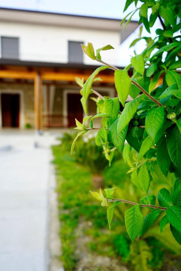 Atomos Bed & Breakfast Alvignano Exterior foto